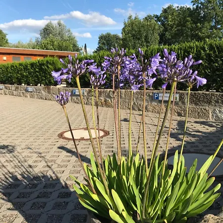 Ferienwohnung Kaitzbach-Idylle Dresden Exterior foto