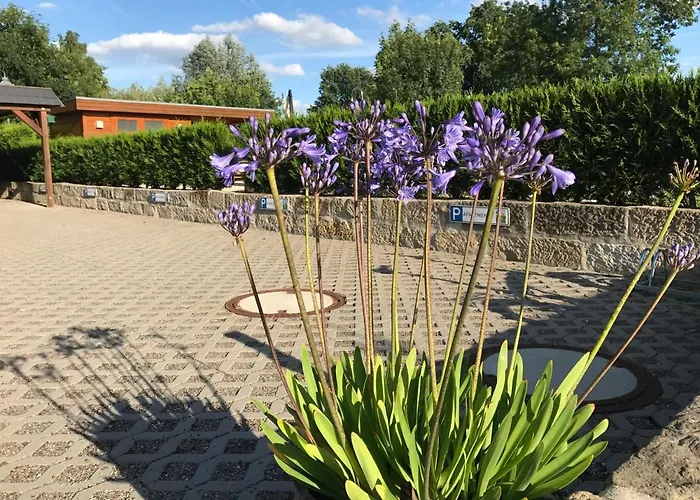 Kaitzbach-Idylle